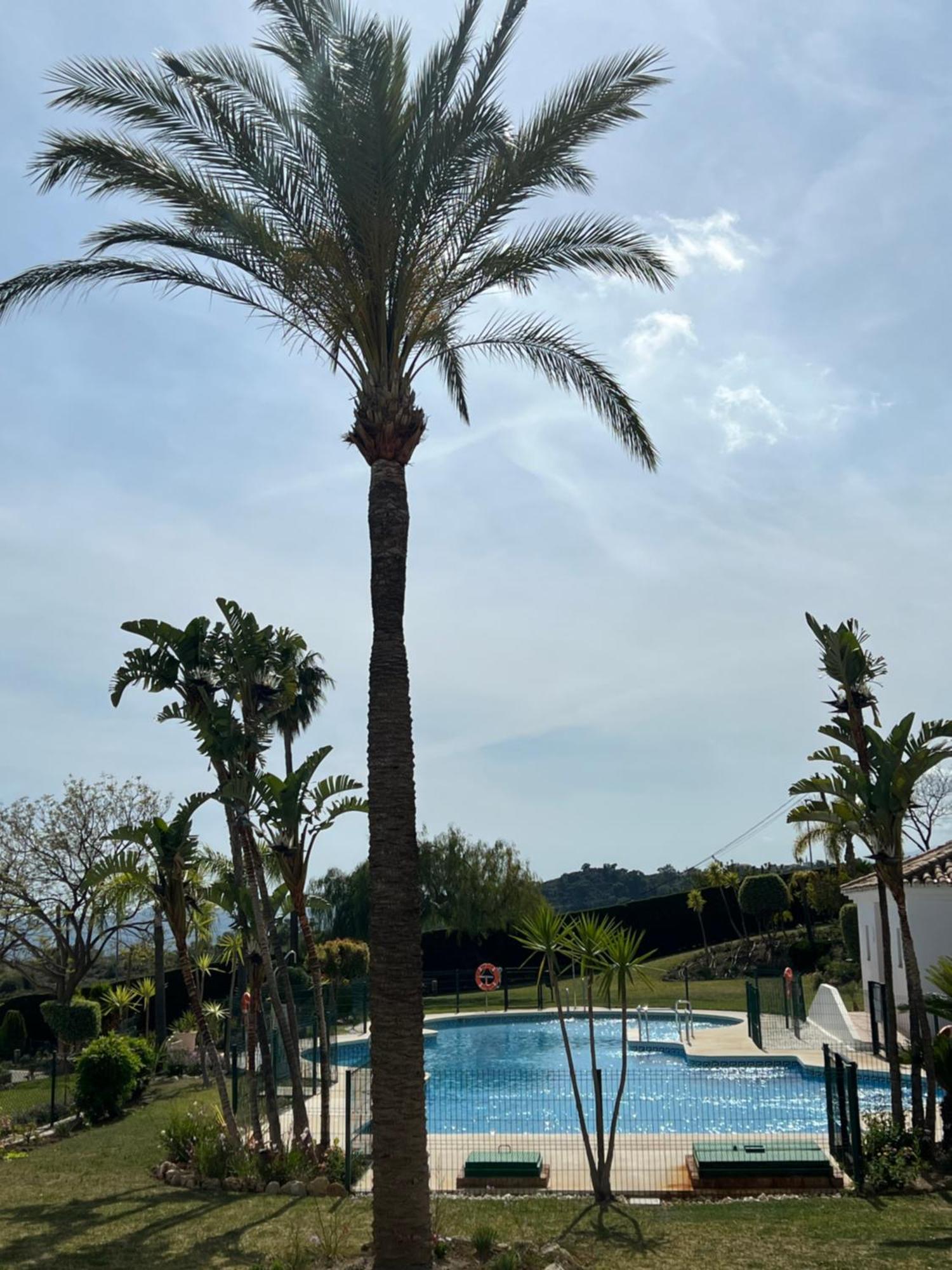 Finca San Antonio Two Bedroom Apartment With Swimming Pool Михас Экстерьер фото